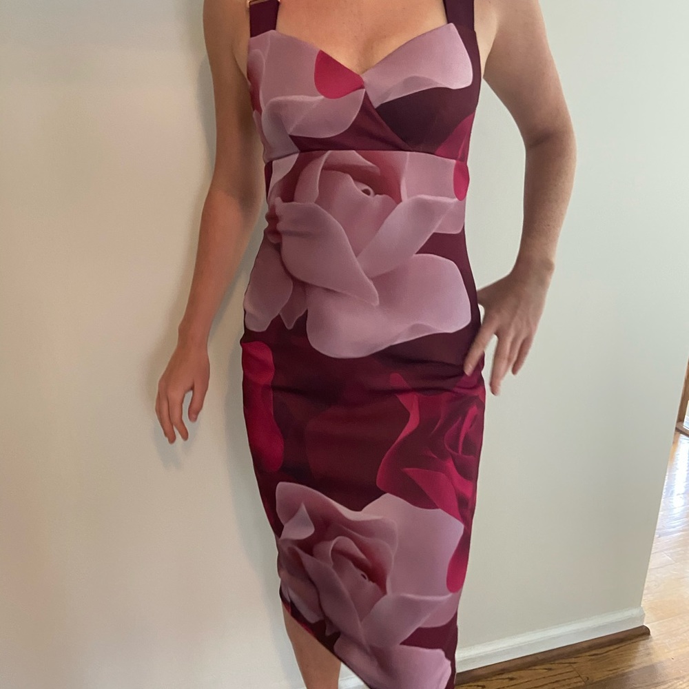 Ted Baker Bodycon